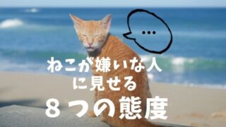 ねこが嫌いな人にみせる行動