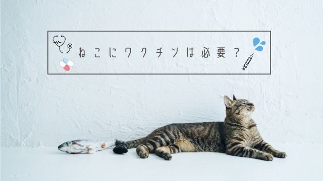 ねこ　ワクチン