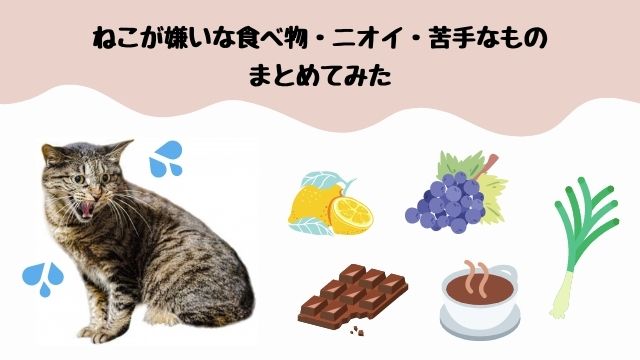 要注意 ねこが嫌いな食べ物 ニオイ 苦手なものをまとめてみた 猫の情報発信サイト ねこのおひげ ねこのおひげ ねこの情報発信サイト