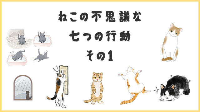 ねこの不思議な行動