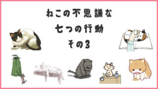 ねこの不思議な行動