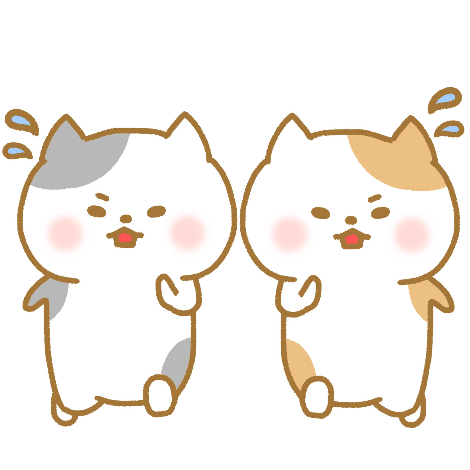 猫にはどのくらいの運動量が必要なのでしょうか？