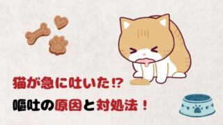 ねこが急に吐いた！？嘔吐の原因と対処法