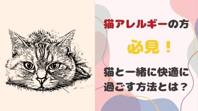 猫アレルギーの方必見！猫と一緒に快適に過ごす方法とは？