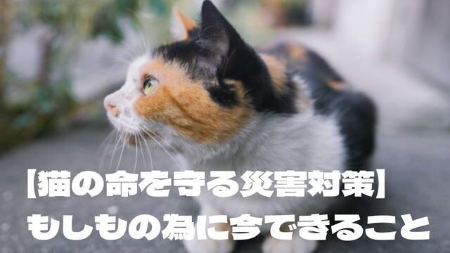 【猫の命を守る災害対策】 サムネ